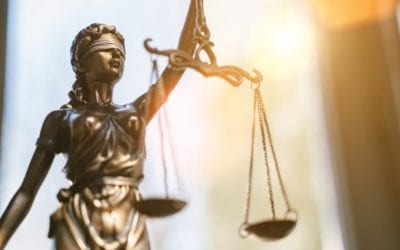 Five top tips to improve your law graduate CV