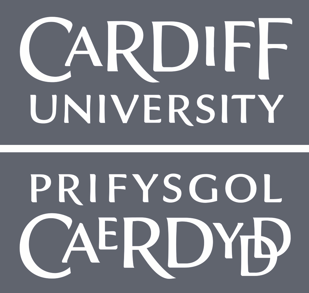 Cardiff_University b&w Career Coaching, Board Member Programme, Writing