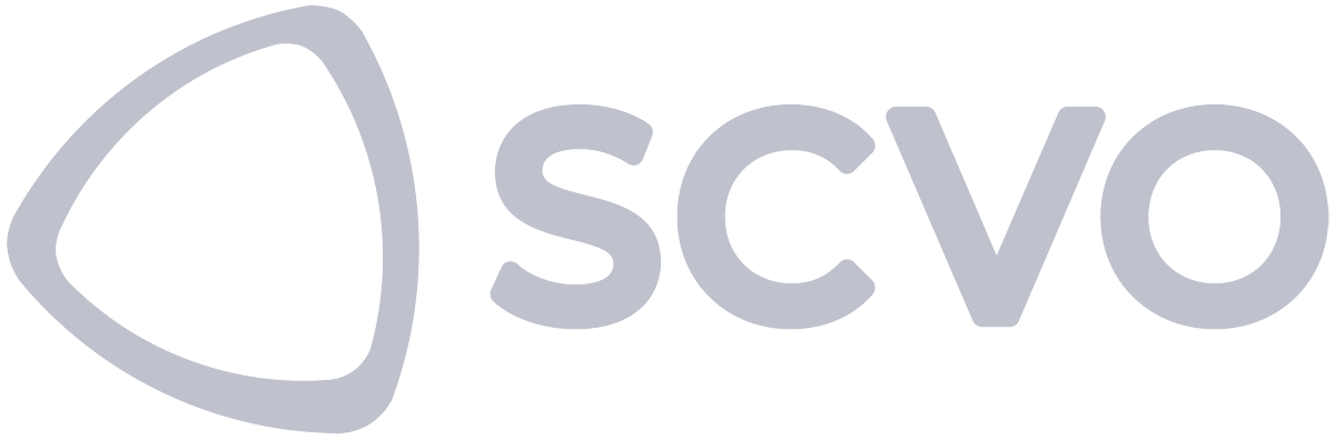 SCVO b&w Career Coaching, Board Member Programme, Writing